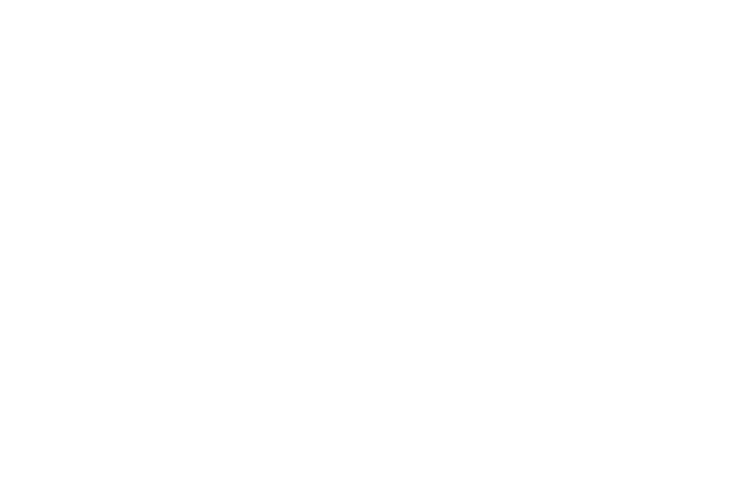 BNI logo